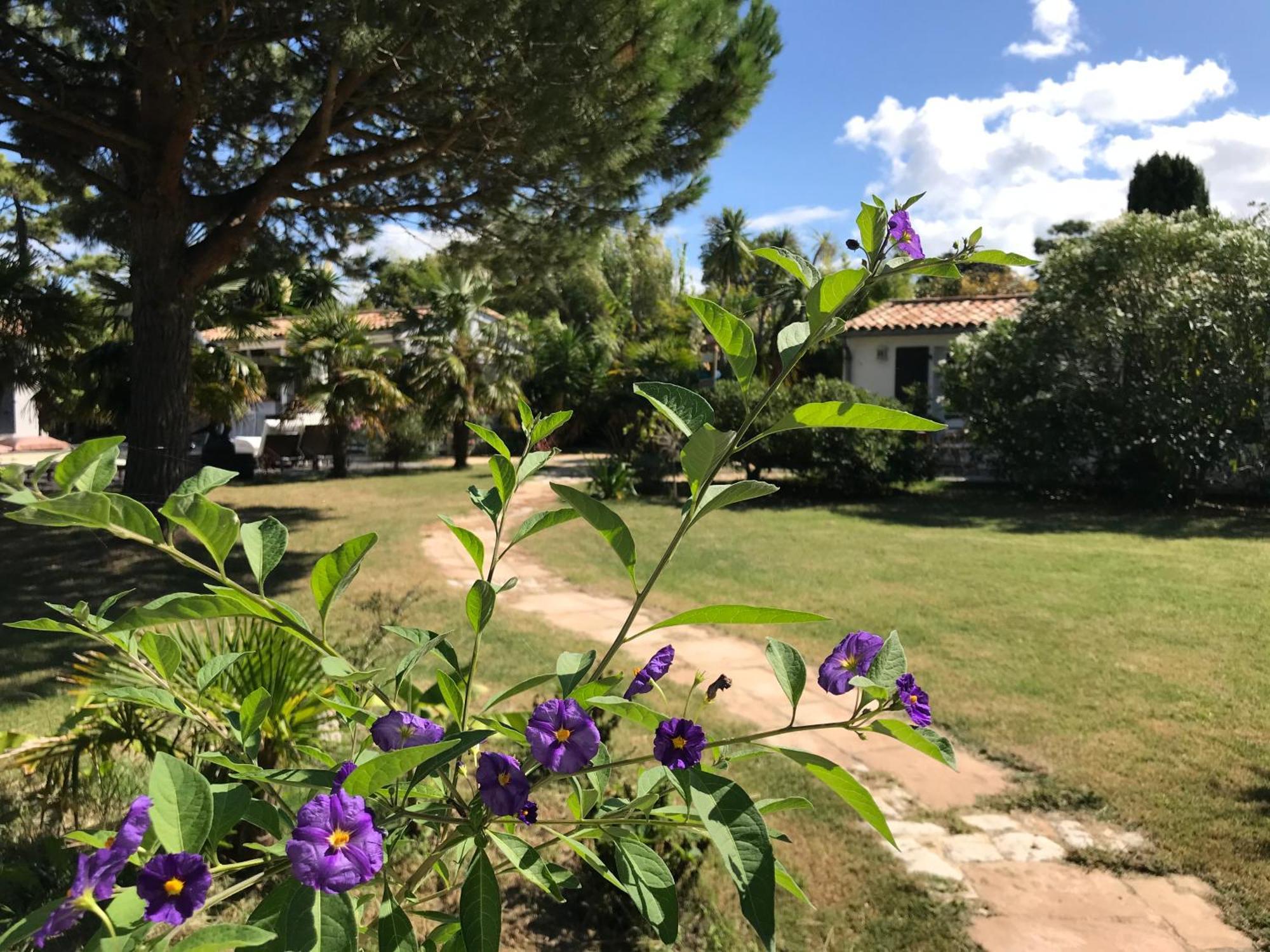 Le Jardin Des Portes Bed & Breakfast Les Portes-en-Re Exterior photo