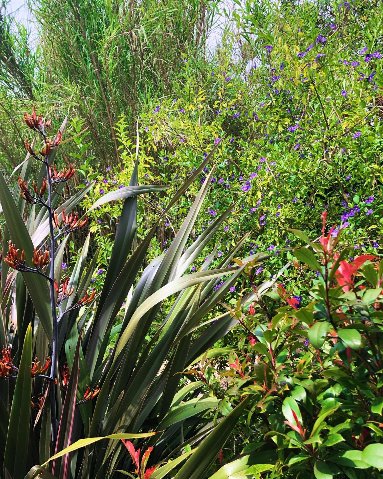 Le Jardin Des Portes Bed & Breakfast Les Portes-en-Re Exterior photo